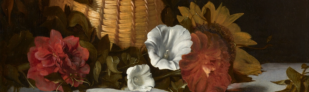 image of Flower Still-life